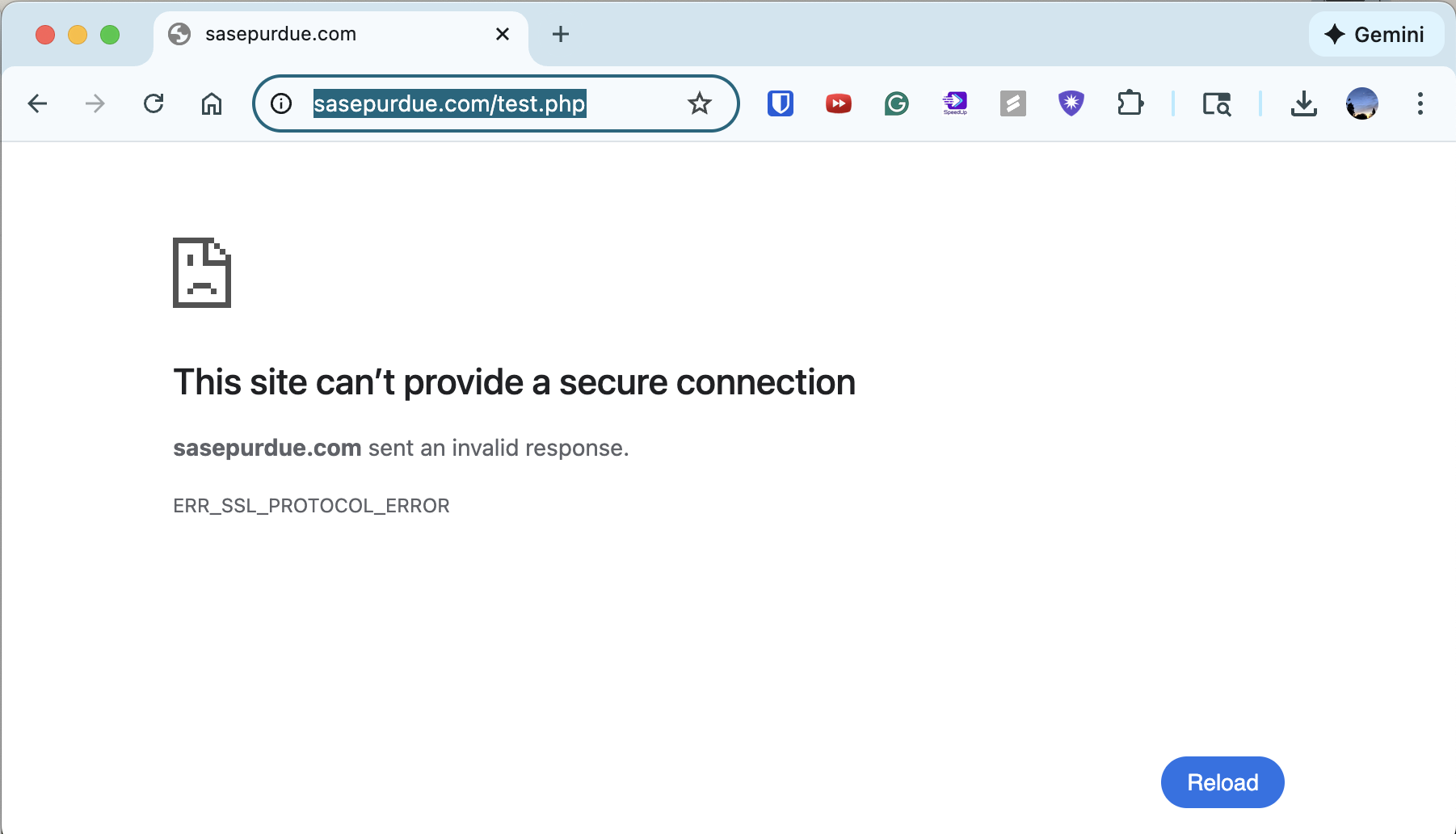 PHP test showing server not executing PHP