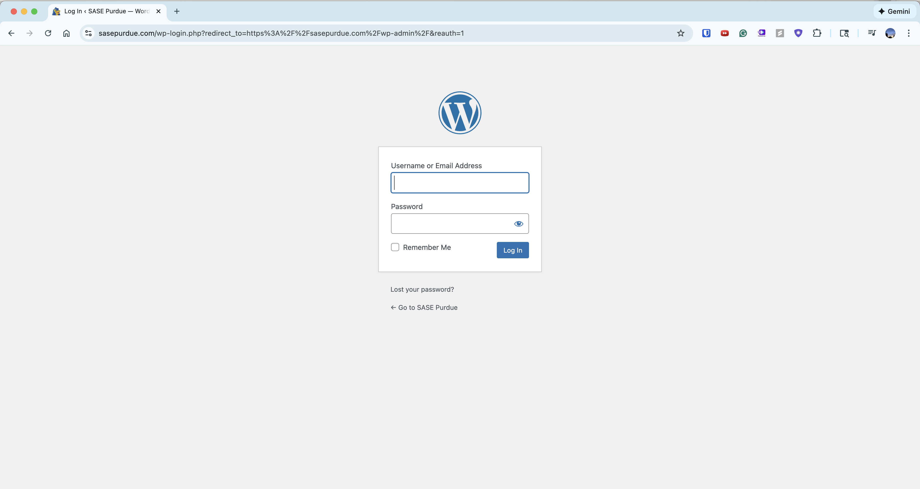 WordPress admin login portal