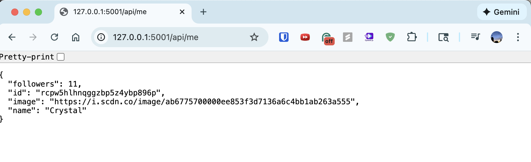 User profile API response